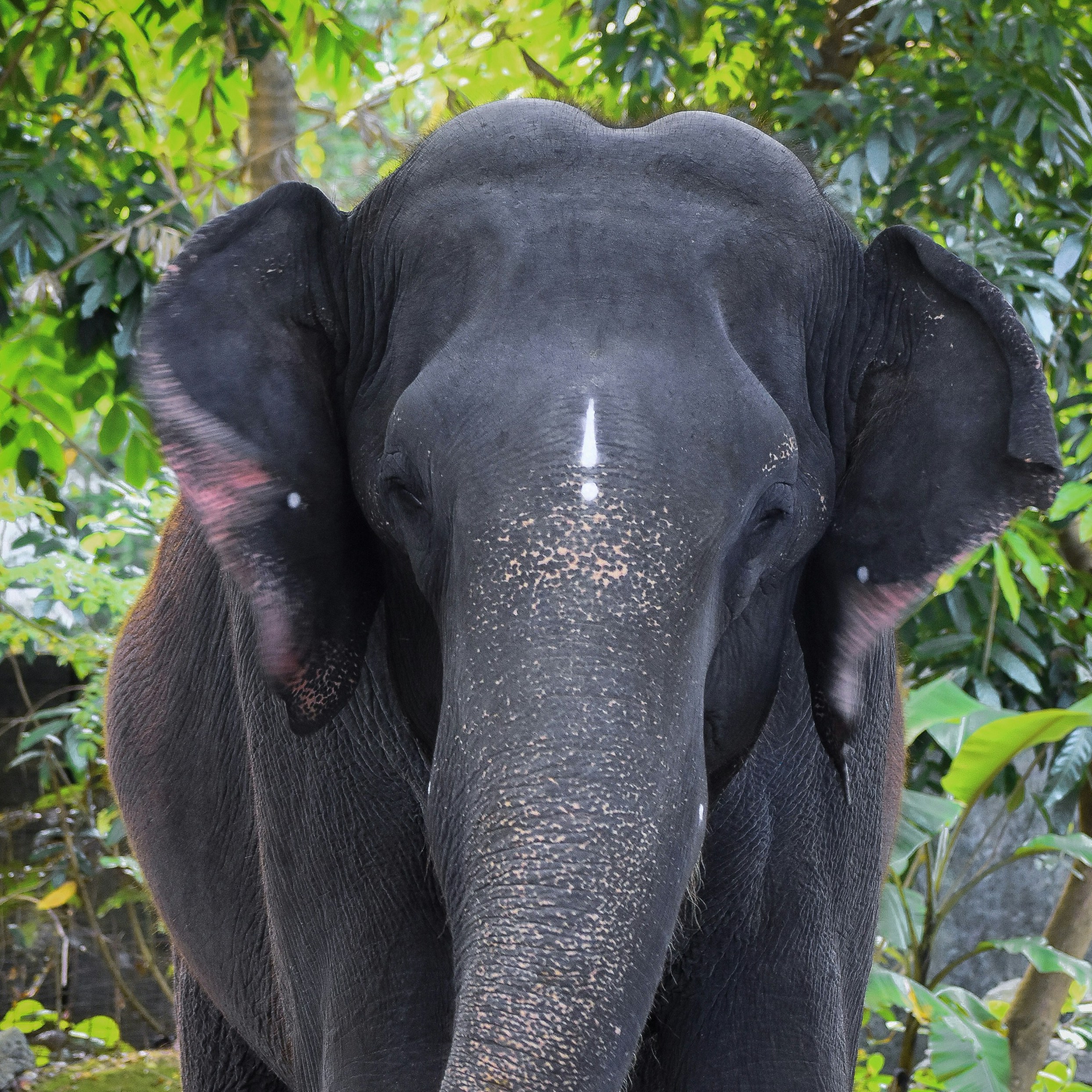 pavan-kumar-nagendla-RWrEpoBJWJ0-unsplash (1)